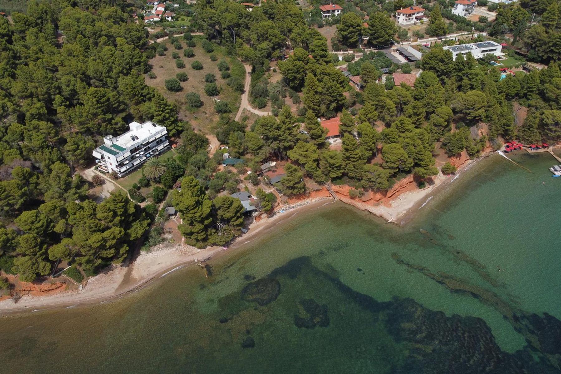 Dimitra House *